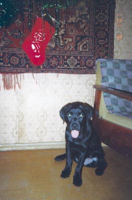 � ��� �����